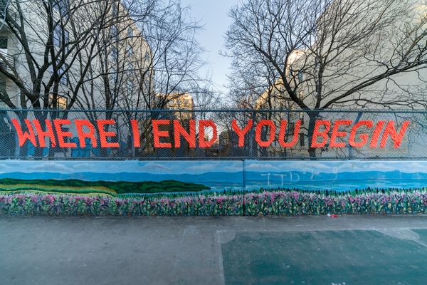 Today’s Links: Frozen Swans, Headless Chickens & More