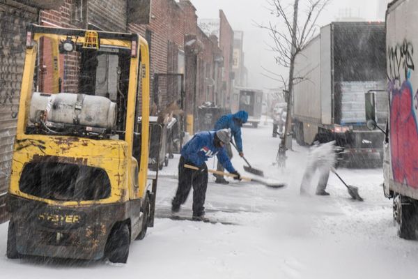 Who’s Responsible For Clearing Snowy Sidewalks? Southwest Brooklyn Politicians Weigh In