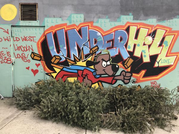 This Week In BKLYNER: 365, McNally Jackson, #SaveBarSepia, News Quiz & More