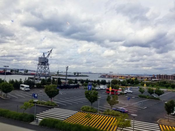 Pet Stores Should Only Sell Animals From Shelters, School Busses Facing Overhaul, Landlords, Weed and more links