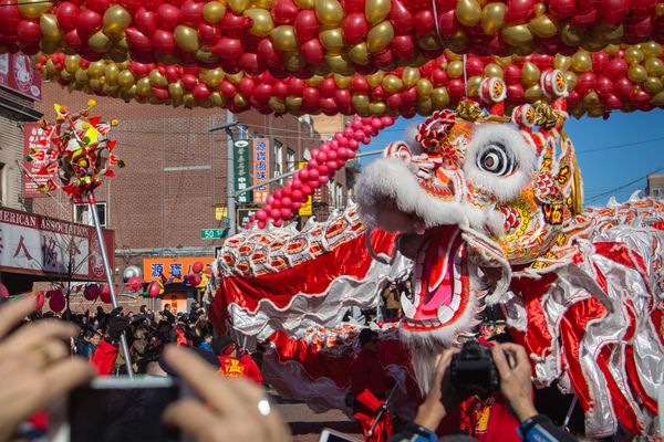 Year Of The Pig: Celebrate The Lunar New Year In Brooklyn