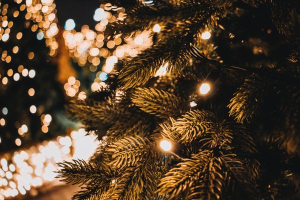 12 Brooklyn Christmas Tree Lightings to Check Out this Season
