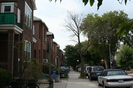 Tree in Need of Pruning