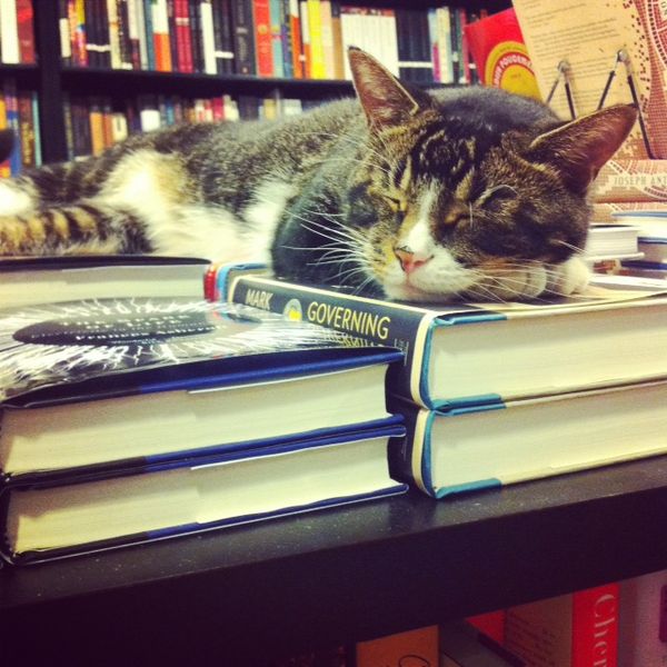 Stuck Inside? Read for Community Bookstore’s November Book Clubs