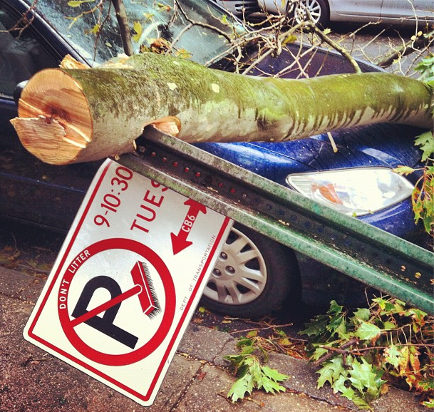 UPDATE: Alternate Side Parking Rules Back in Effect Tomorrow