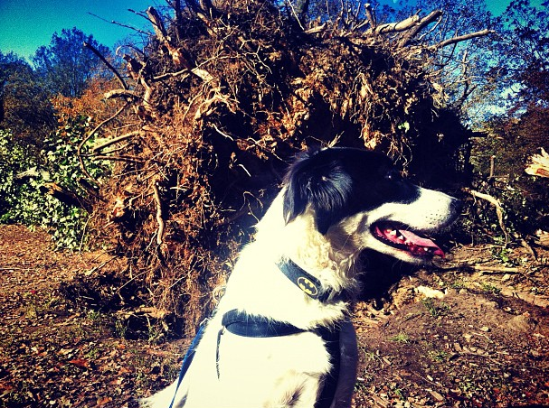 This Week on the Stoop