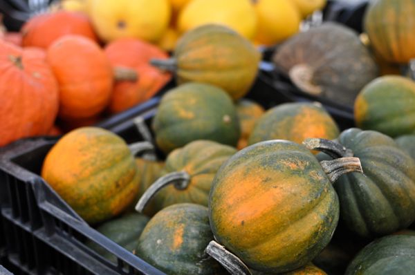 This Week at the Cortelyou Greenmarket