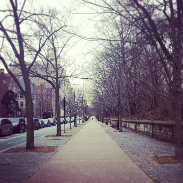 Photo of the Day: The Sidewalk to Spring