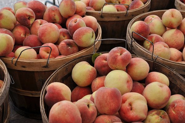 Area Greenmarkets Return In May