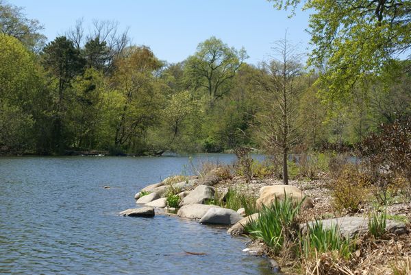 Fishing Responsibly & A W.I.L.D. Cleaning In Prospect Park
