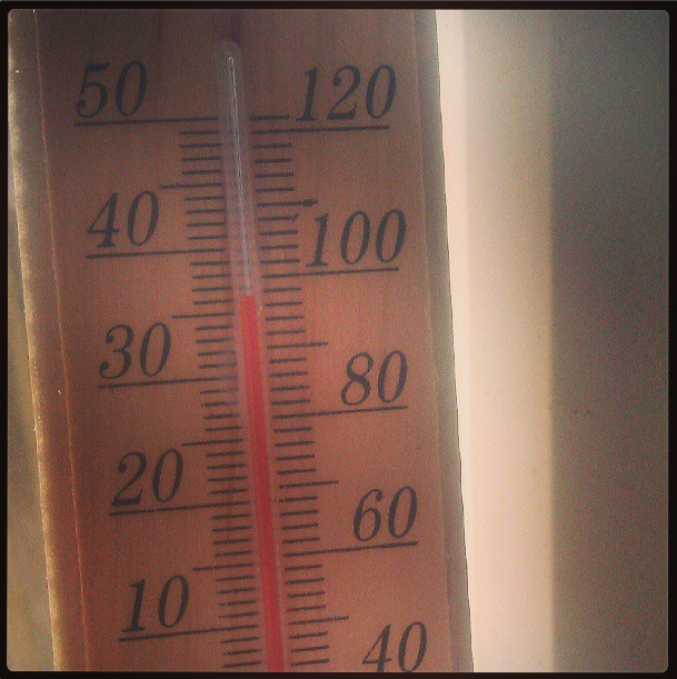 Check On Your Friends & Family During This Heatwave