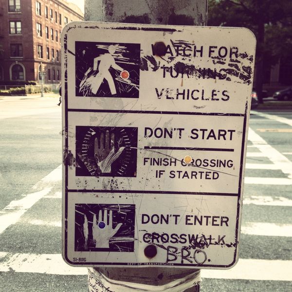 Photo Of The Day: Safety First, Bro