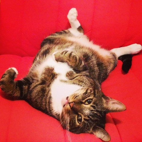 Photo Of The Day: Ready For My Close-Up