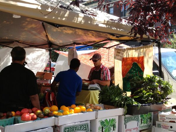 This Week At The Cortelyou Greenmarket