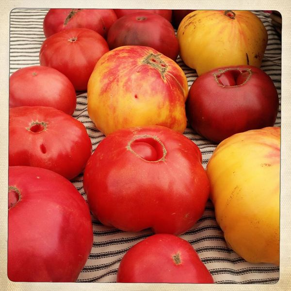 Gather Your Fall Harvest At This Week’s P.S. 295 Market