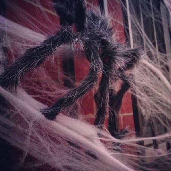 Halloween In The Slope: Creepy Crawlies