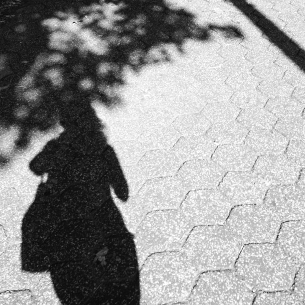 Fall In Park Slope: Stretching Shadows