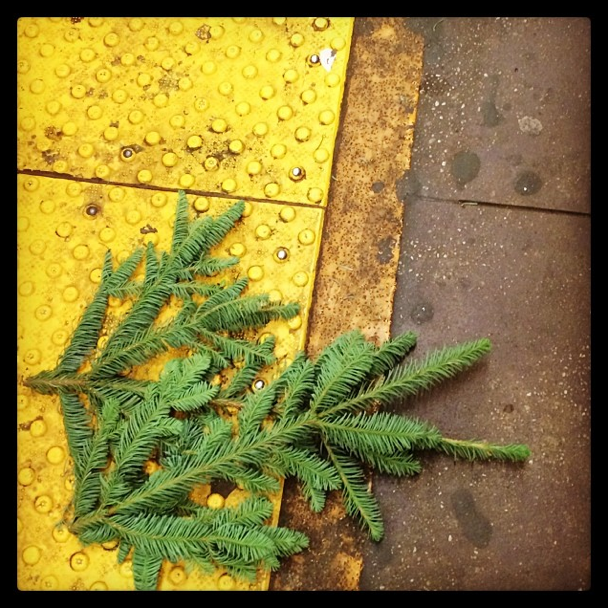 Photo Of The Day: Stragglers