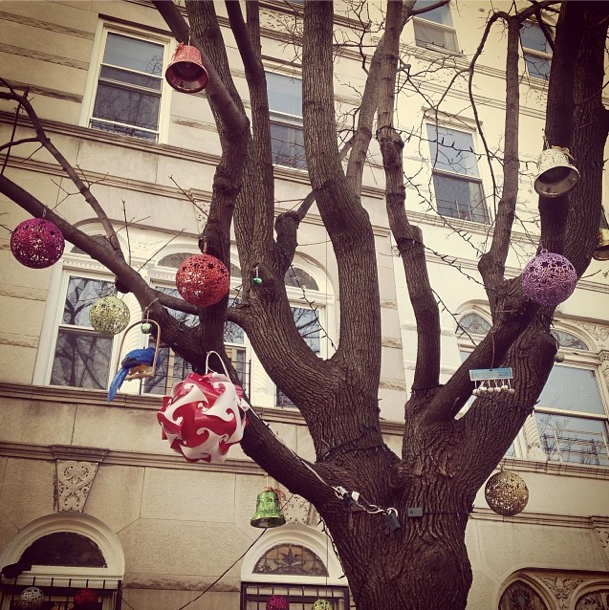 Photo Of The Day: Any Tree’s A Christmas Tree