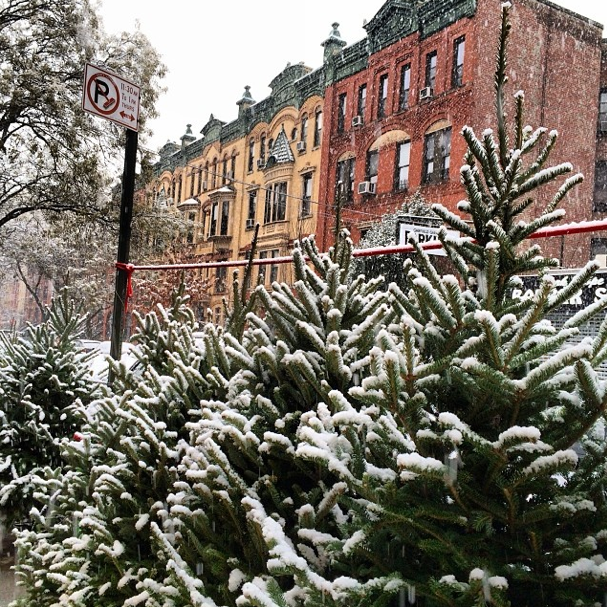 NYC Rules For Snow & Ice Removal