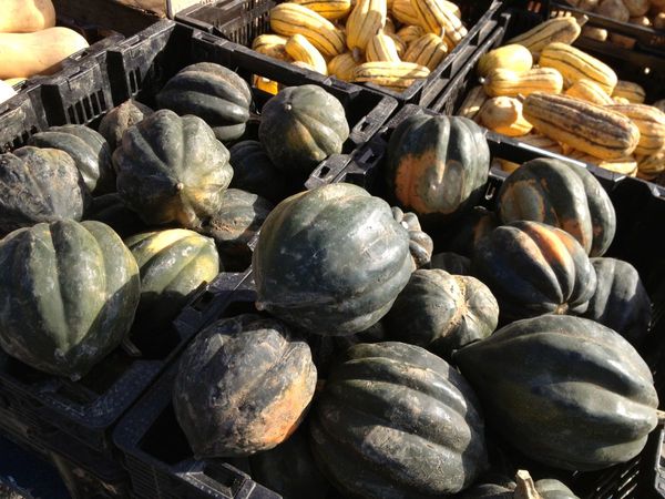 The Greenmarket Report: Pumpkin Cornbread & Pancetta