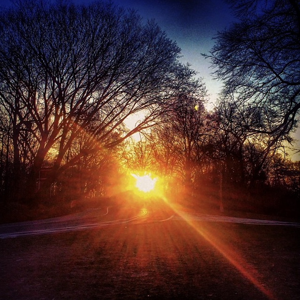 Photo Of The Day: Hello Sun