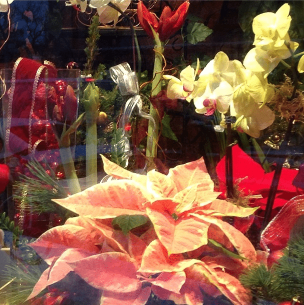 Photo Of The Day: Festive Florals