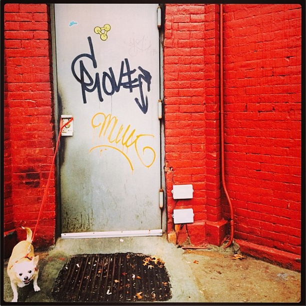 Photo Of The Day: Guard Dog