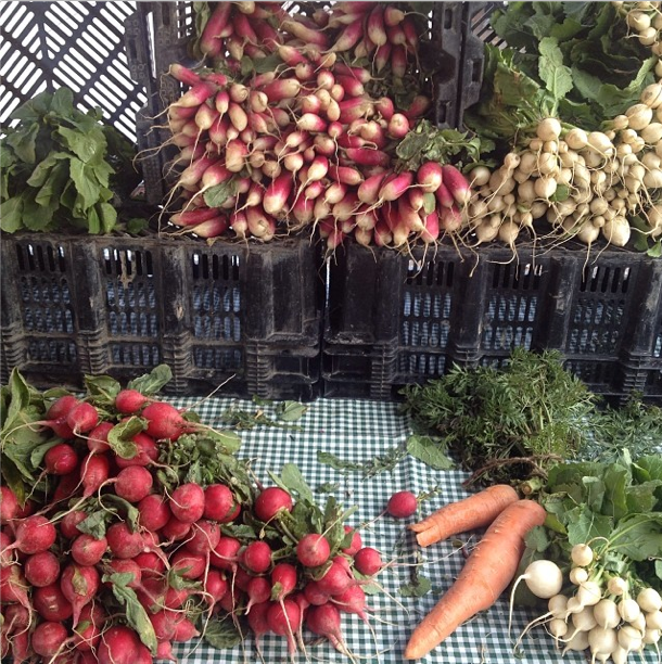 The Greenmarket Report: Snow & Beef