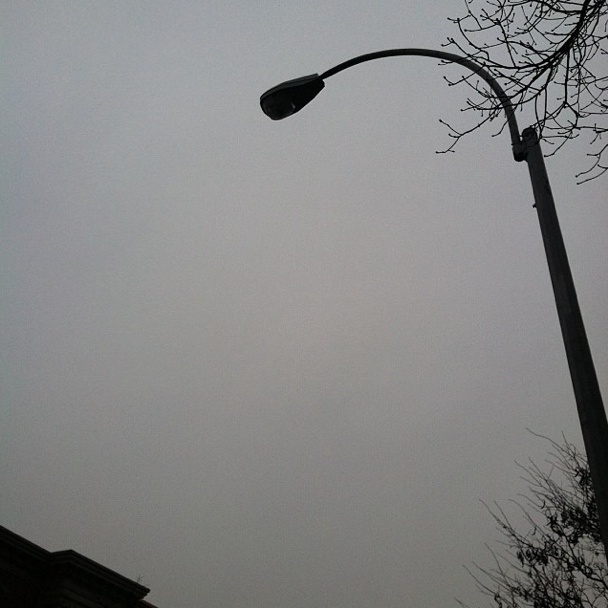 Photo Of The Day: Monotone Afternoon