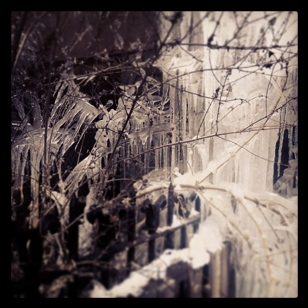 Photo Of The Day: Ready For More Ice?