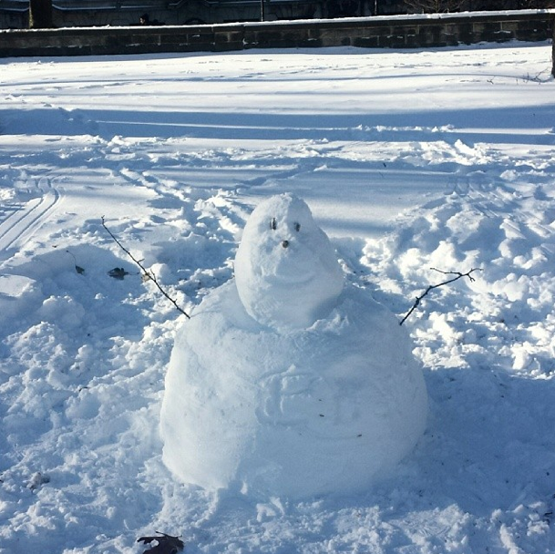 This Week On The Stoop