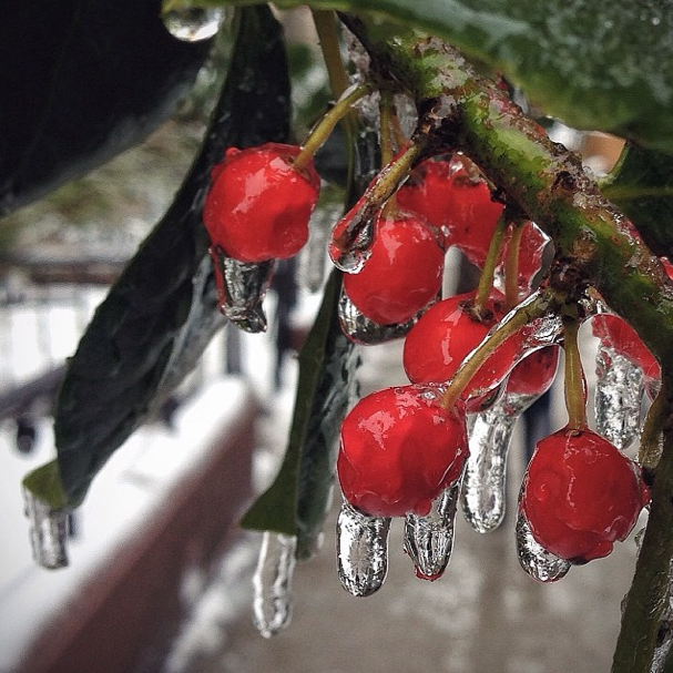This Week On The Stoop