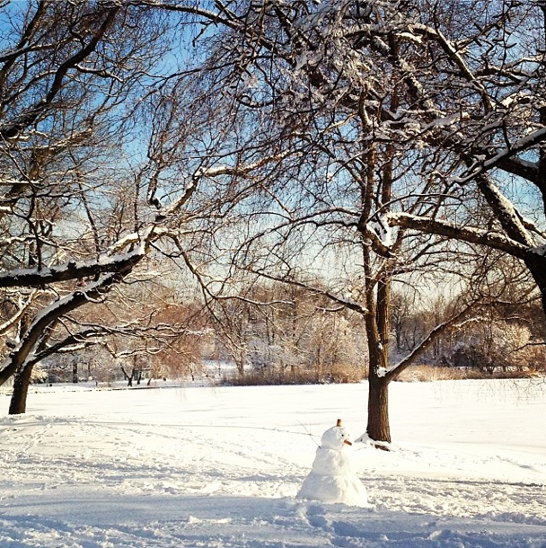 Trash Collection Delayed, Alternate Side Parking Suspended & More Snow On The Way