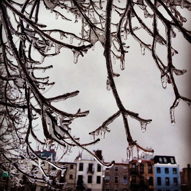 Photo Of The Day: Icing