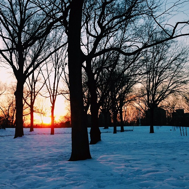 Things To Know This Presidents’ Day