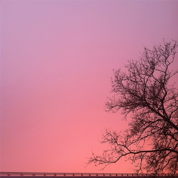 Photo Of The Day: February Sunset