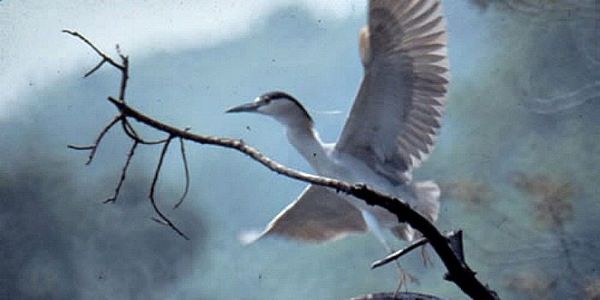 Weekend Events Recap: What’s Happening Around South Slope