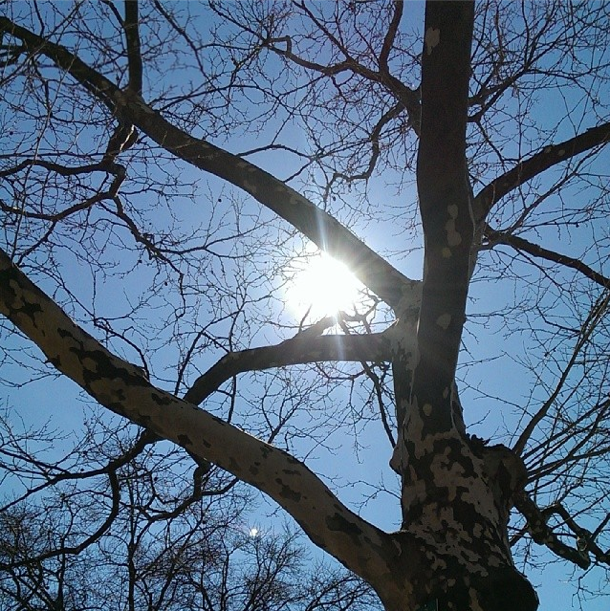 Photo Of The Day: Soaking It In