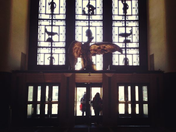 Photo Of The Day: Wingspan