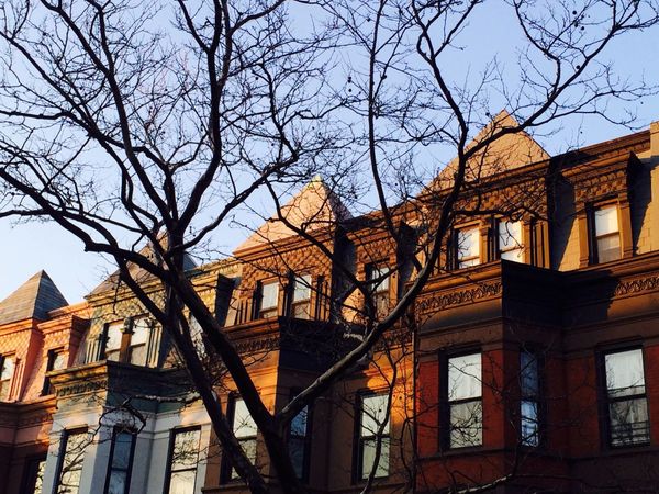 Photo Of The Day: Bright Architecture