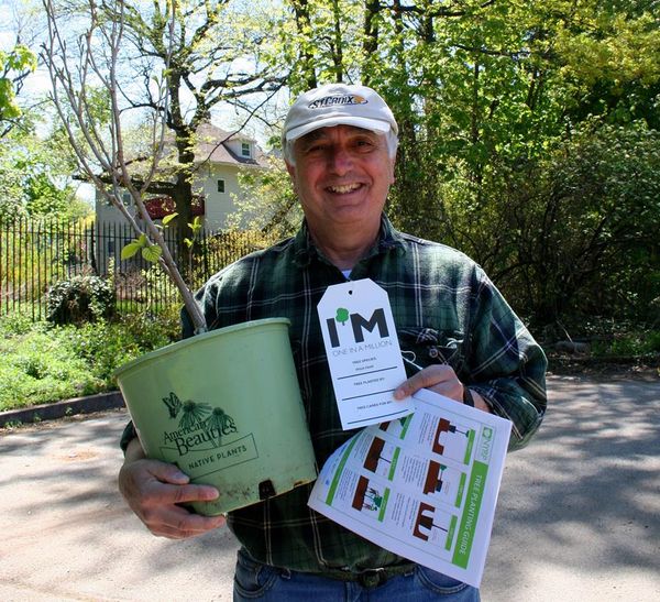 Get Free Mulch And Trees At Green-Wood Cemetery