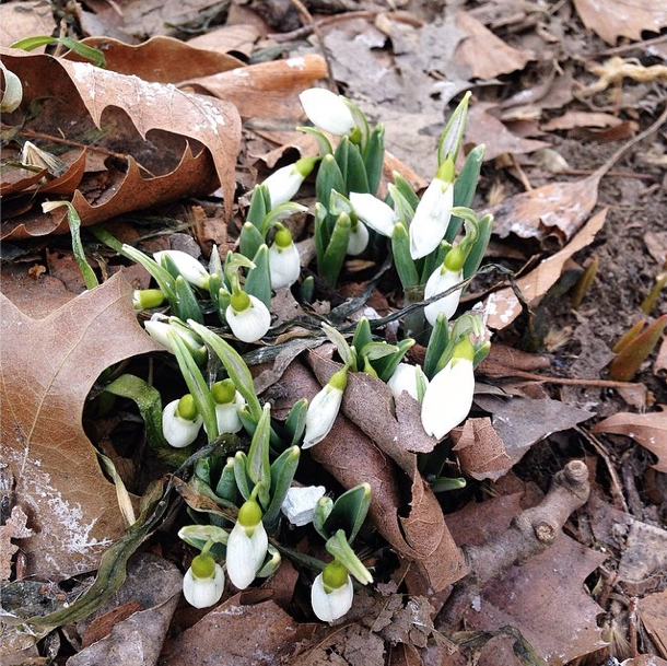 Photo Of The Day: Winter’s Over!