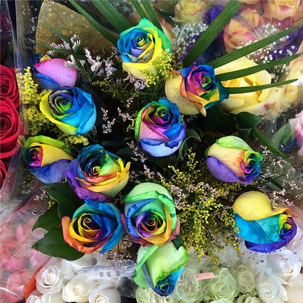 Photo Of The Day: Trippy Roses