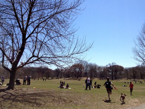 Things To Do In Prospect Park In April