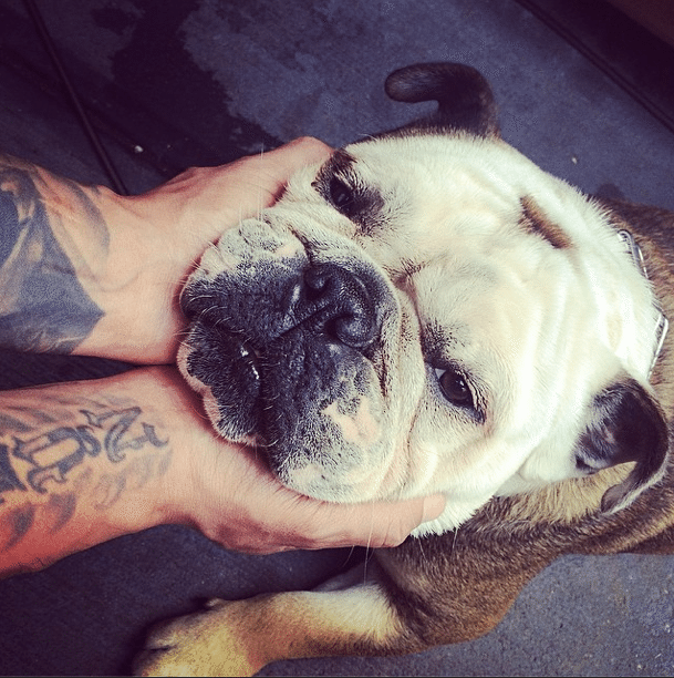 Photo Of The Day: Smoosh