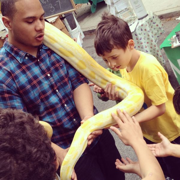 Photo Of The Day: Fresh, Organic Snake