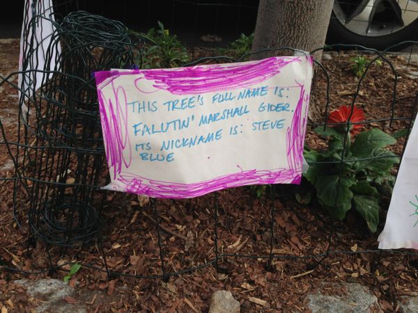 Photo Of The Day: Falutin’ Marshall Gider