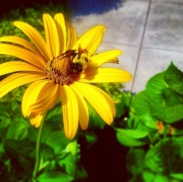 Photo Of The Day: Hard At Work