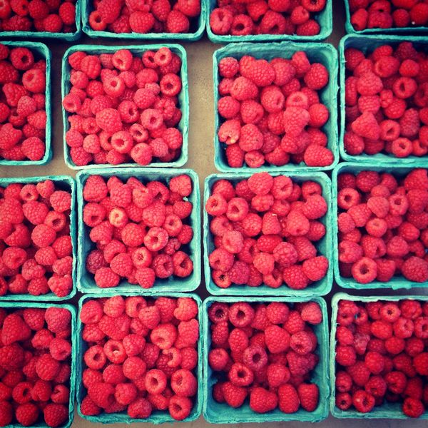 Photo Of The Day: Summer Has Been Berry, Berry Good To Us